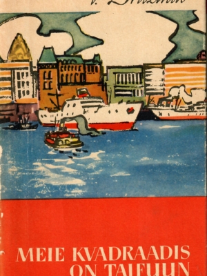 Meie kvadraadis on taifuun – Vladimir Družinin