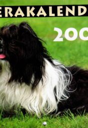 Koerakalender 2000