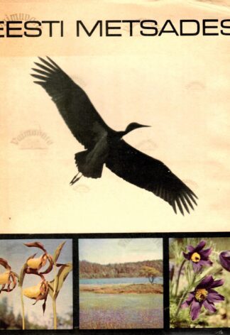Eesti metsades - fotoalbum