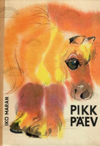 Pikk päev - Iko Maran