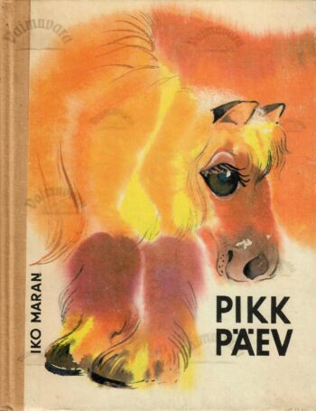 Pikk päev - Iko Maran