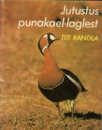 Jutustus punakael-laglest - Tiit Randla