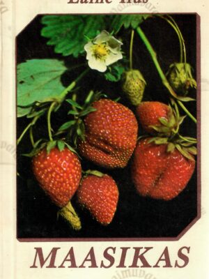 Maasikas – Laine Ilus, 1988