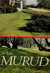 Murud - Marianna Saar