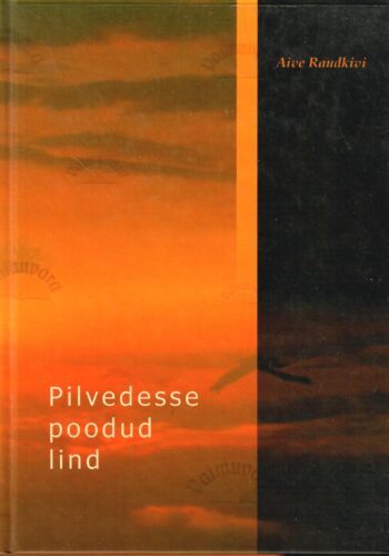 Pilvedesse poodud lind. 16 kirja haigla-aastatest 2001-2003 - Aive Raudkivi