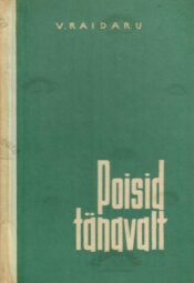 Poisid tänavalt - Voldemar Raidaru