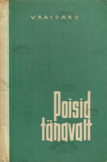 Poisid tänavalt - Voldemar Raidaru