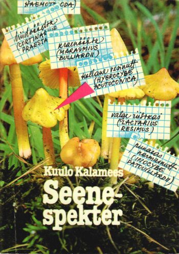 Seenespekter- Kuulo Kalamees