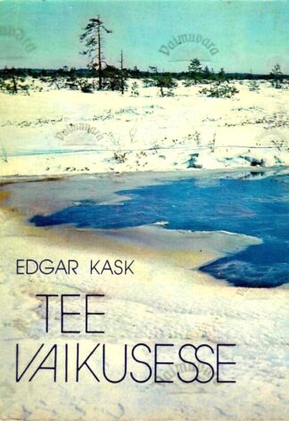 Tee vaikusesse - Edgar Kask