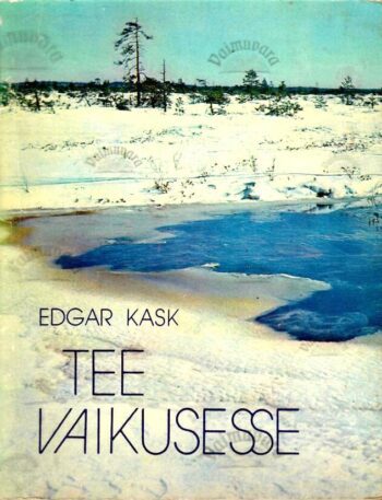Tee-vaikusesse - Edgar-Kask Tee vaikusesse - Edgar Kask