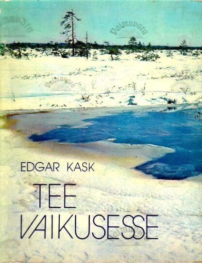 Tee vaikusesse - Edgar Kask