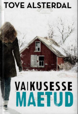 Vaikusesse maetud - Tove Alsterdal