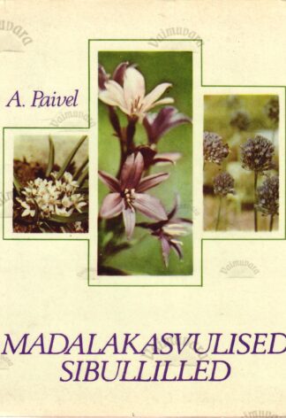Madalakasvulised sibullilled - Aino Paivel