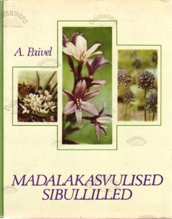 Madalakasvulised sibullilled - Aino Paivel