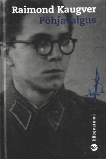 Põhjavalgus - Raimond Kaugver