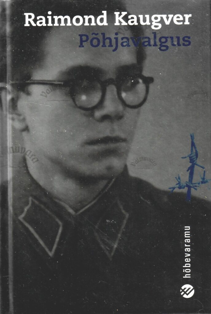 Põhjavalgus - Raimond Kaugver