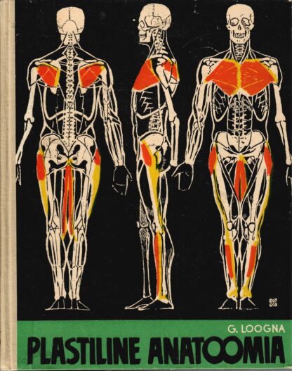 Plastiline anatoomia -  Georg Loogna