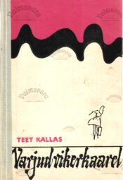 Varjud vikerkaarel. Kolm jutustust noortele - Teet Kallas