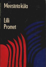 Meesteta küla - Lilli Promet Meesteta küla - Lilli Promet
