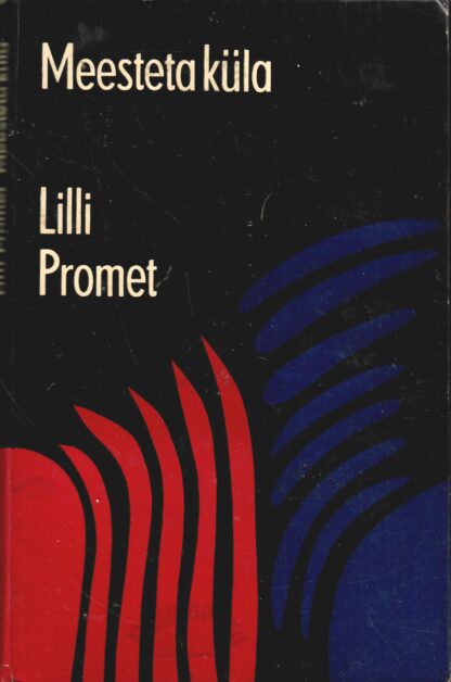 Meesteta küla - Lilli Promet
