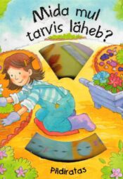 Pildiratas. Mida mul tarvis läheb. Pildiratas. Mida mul tarvis läheb?