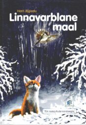Linnavarblane maal - Harri Jõgisalu