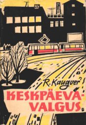 Keskpäevavalgus - Raimond Kaugver