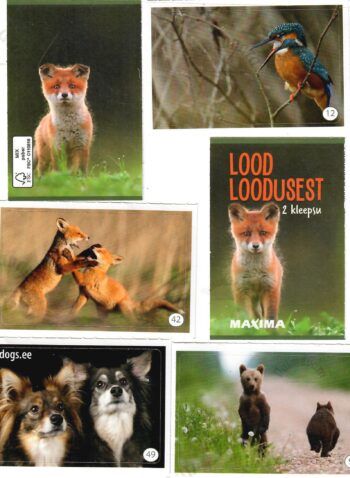 Maxima kleebised Lood loodusest Maxima kleebised Lood loodusest