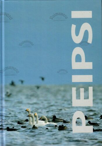 Peipsi