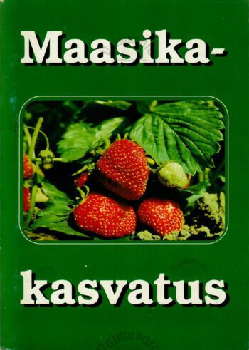 Maasikakasvatus