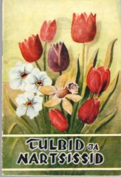 Tulbid ja nartsissid - Rudolf Tamm