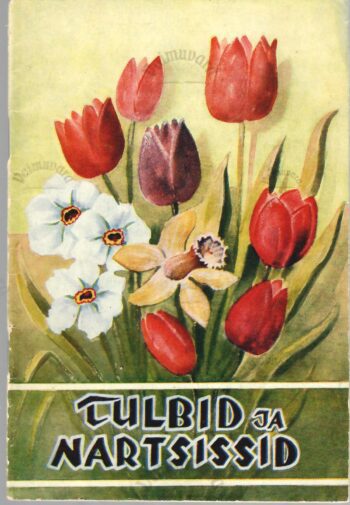 Tulbid ja nartsissid - Rudolf Tamm Tulbid ja nartsissid - Rudolf Tamm