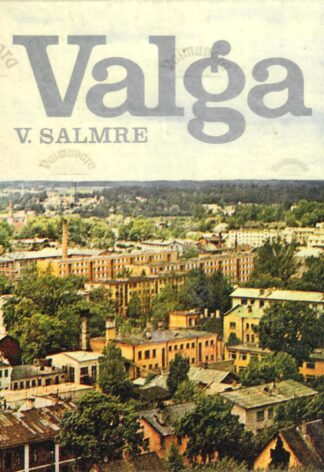 Valga - Viktor Salmre, Alleks Vallner