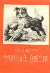 Vaat mis juhtus - Felix Kotta Vaat mis juhtus - Felix Kotta