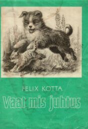 Vaat mis juhtus - Felix Kotta, 1981 Vaat mis juhtus - Felix Kotta, 1981