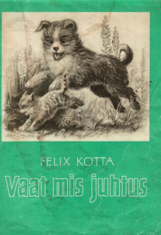 Vaat mis juhtus - Felix Kotta, 1981