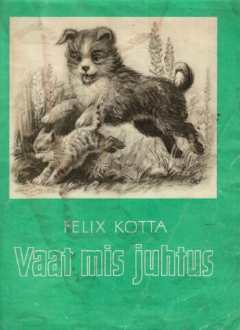 Vaat mis juhtus - Felix Kotta, 1981