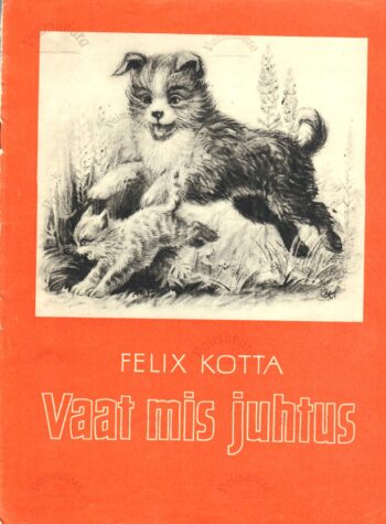 Vaat mis juhtus - Felix Kotta
