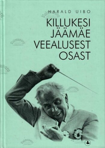 Killukesi jäämäe veealusest osast - Harald Uibo Killukesi jäämäe veealusest osast - Harald Uibo