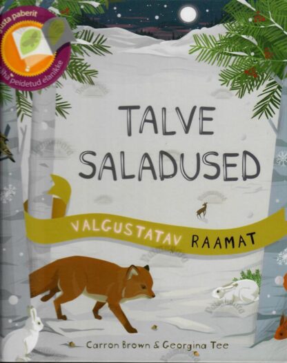 Talve saladused. Valgustatav raamat - Carron Brown, Georgina Tee