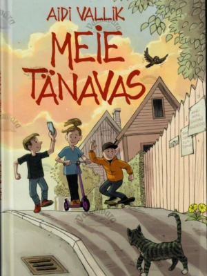 Meie tänavas – Aidi Vallik