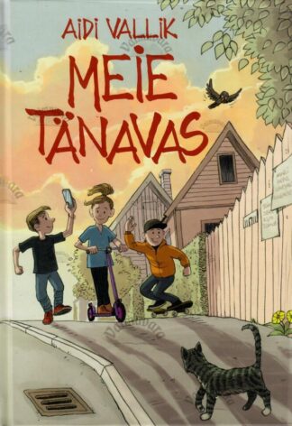 Meie tänavas - Aidi Vallik