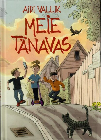 Meie tänavas - Aidi Vallik