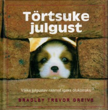 Törtsuke julgust - Bradley Trevor Greive