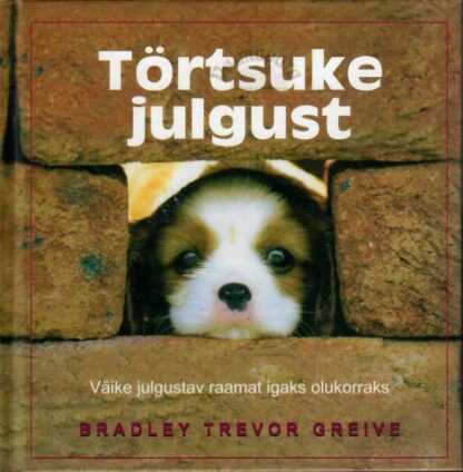 Törtsuke julgus Bradley - Trevor Greive