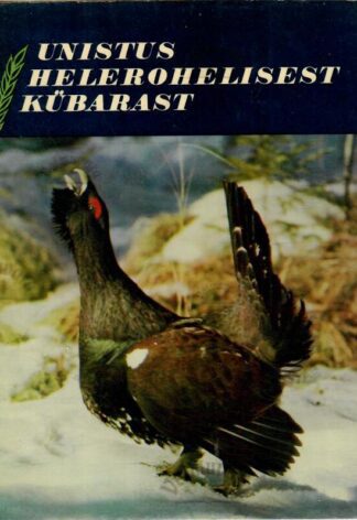 Unistus helerohelisest kübarast - Edgar Kask