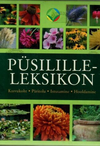 Püsililleleksikon - Andrea Rausch