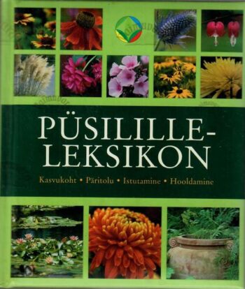 Püsililleleksikon - Andrea Rausch