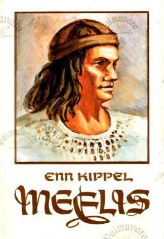 Meelis. Ajalooline noorsoojutt - Enn Kippel, 1999