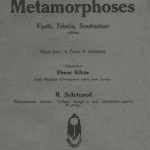 Tähtis pole mitte võit, vaid osavõtt